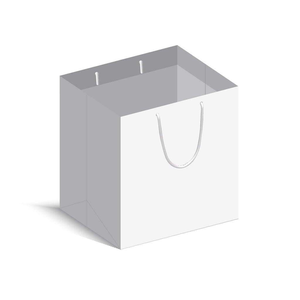 Plain Paper Bag (220 × 200 × 130 mm)